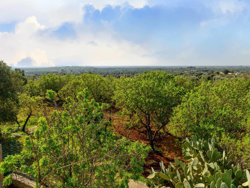 Masseria Monte Torto Ξενοδοχείο Ostuni Εξωτερικό φωτογραφία